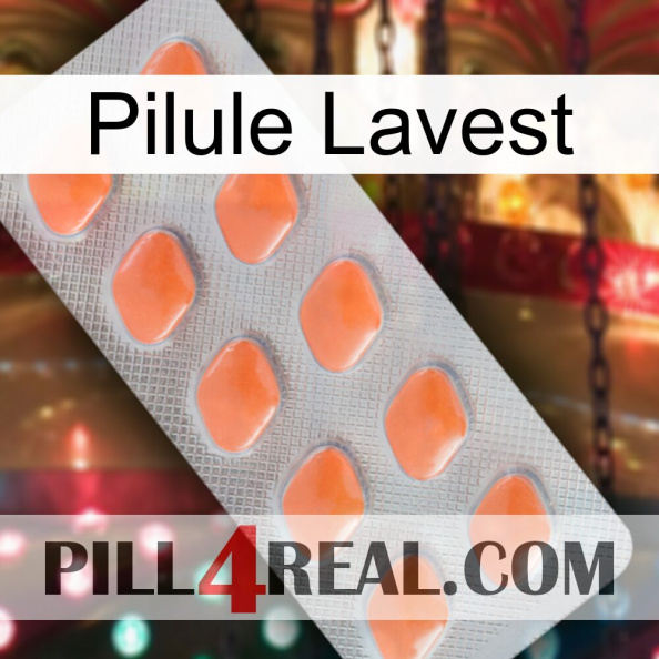 Lavest Pill 26